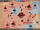 Owl of Perception/Doomsday Battle Report: S331 SOS vs S560 WoW