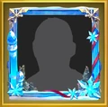 Winter Gala (Standard) Frame Skin