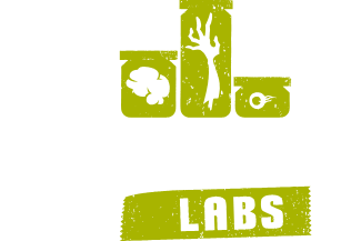State of Decay - Undead Labs