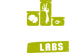 Tag: Undead Labs - Niche Gamer