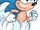 Enter: Sonic