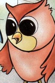 Steveowl