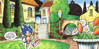 Sonic arrives in Perfection.