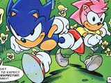 Hedgehog