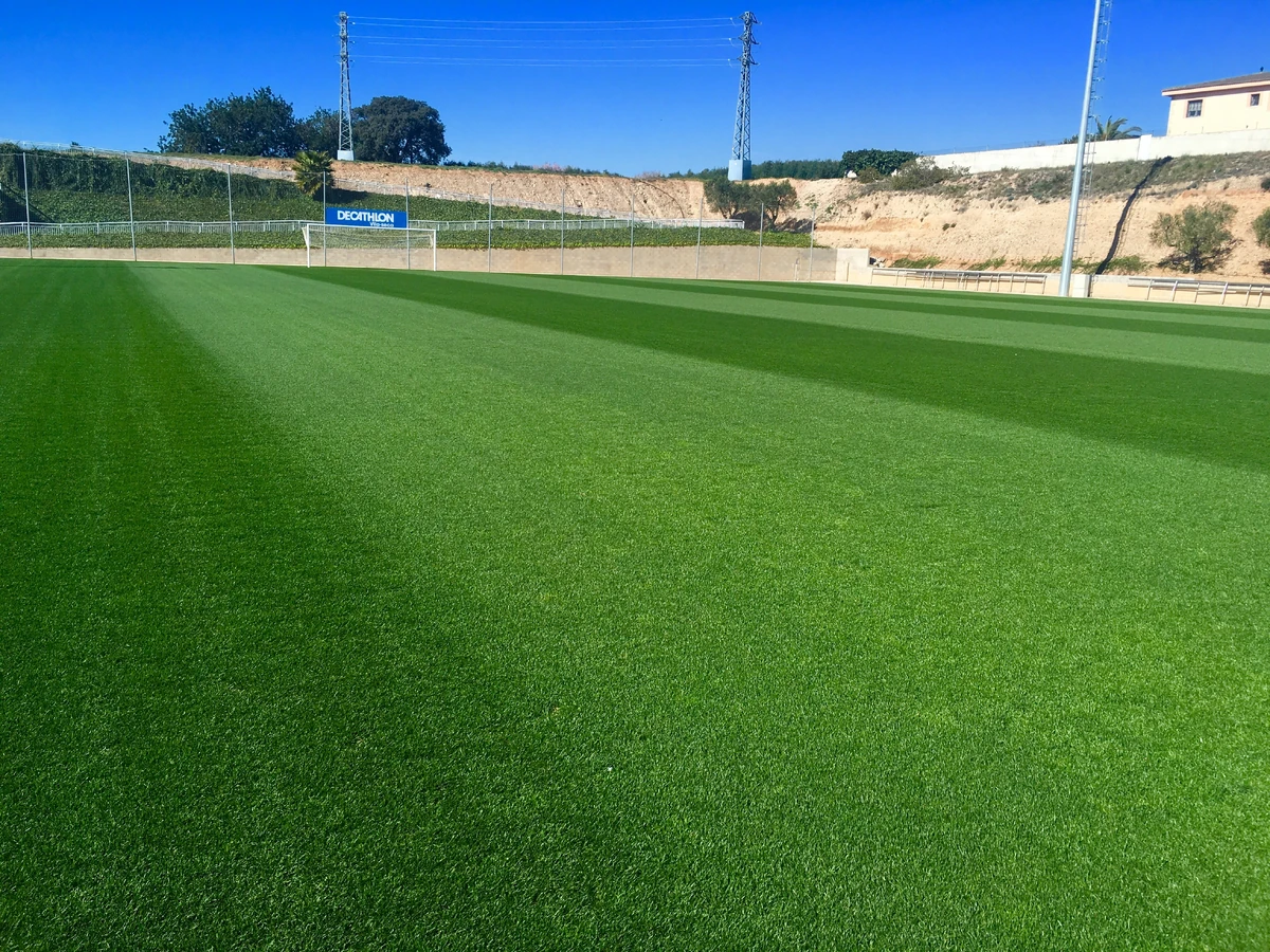 Green Valley Stadium St. Cecilia Archipelago Wiki Fandom