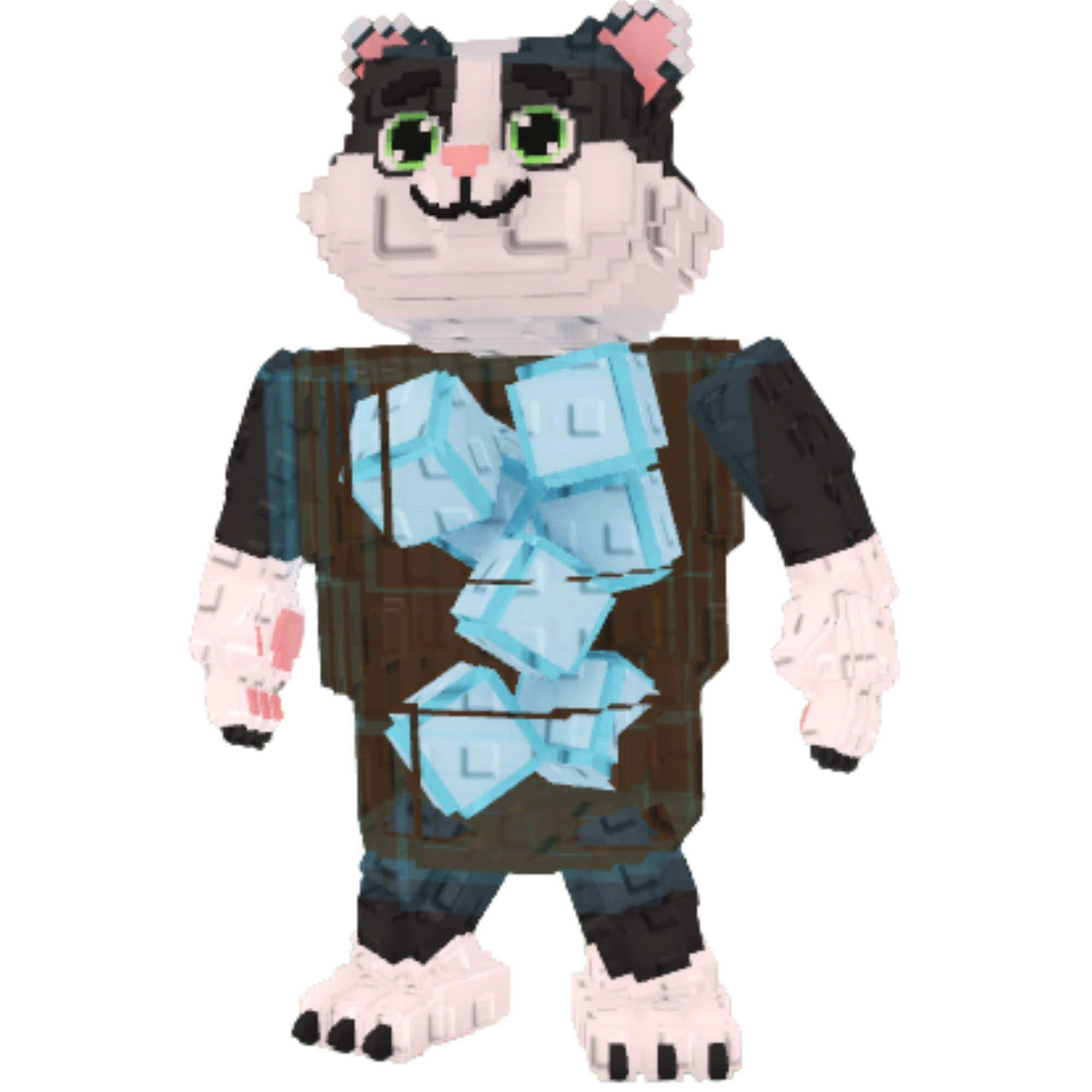 Cola Cat