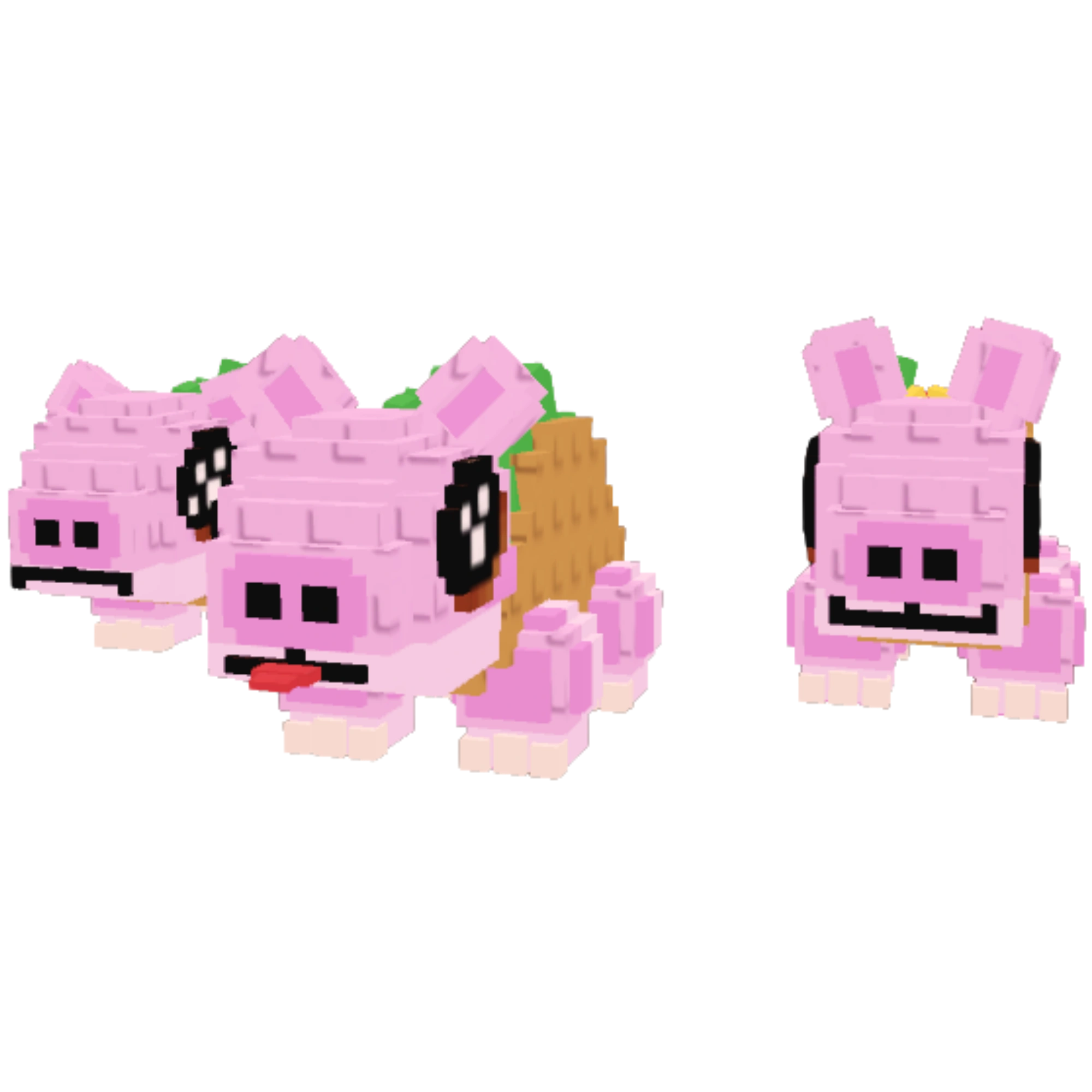 لوس تيبي تاكوس