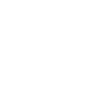 DiscordIcon