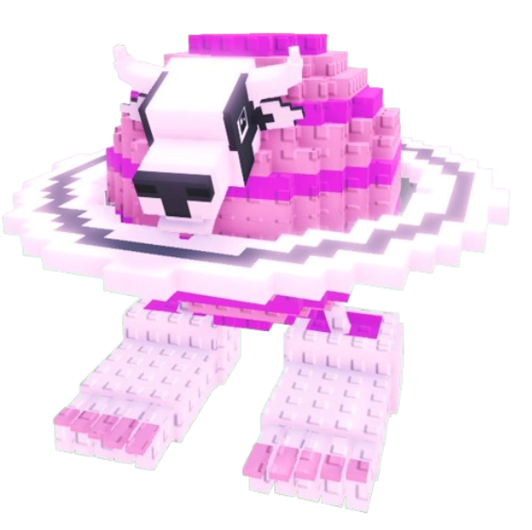 Raccon-Better-Quality