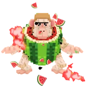 Pi Pi Watermelon