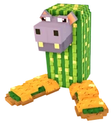 Cacto Hipopotamo