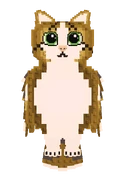 Meowl