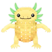 Pinealotto Fruttarino