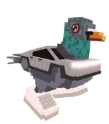 Piccione Macchina