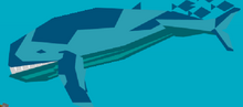 Whale