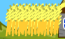 Field.png
