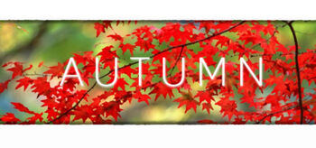 Autumn Logo