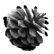 :pinecone: (common)