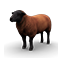 :blacksheep: (Rare)