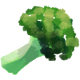 Level 2 broccoli/ブロッコリー