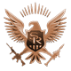 Level 1 Bronze Eagle