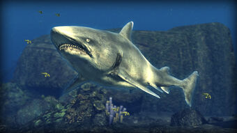 Depth Hunter 2 Deep Dive Reef Shark Steam Trading Cards Wiki Fandom