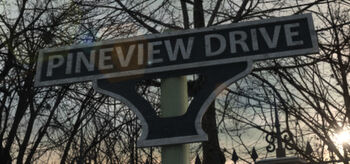 Pineview Drive Logo