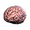 :ss13brain: (uncommon)