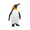 :zoopenguin: (rare)