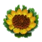 :big_sunflower: (common)