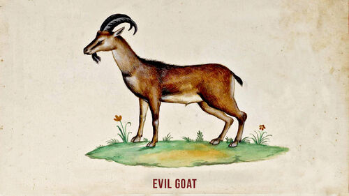 goats are evil