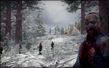 Zombie Winter (common)