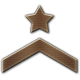 Level 2 Sergeant