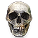 :DLSkull: (common)