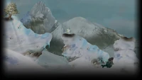Ice Slide Storm