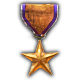 Level 5 Gold Star