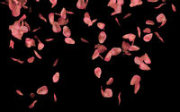 Wallpaper Engine Background Rose Petals