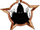 Badge-6-1.png
