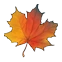 :autumn_leaf: (uncommon)