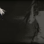 Nier Automata Steam Trading Cards Wiki Fandom