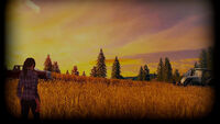 Wheatfield (Uncommon)