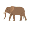 :zooelephant: (common)