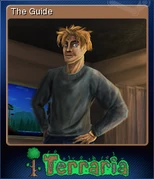 Terraria Card The Guide