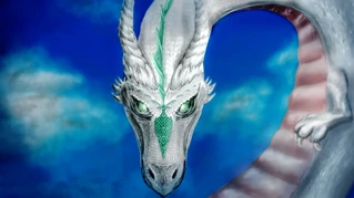 Terraria, wyvern