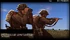 Scout small pol