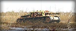 Semovente m42 75 34 ger sd2
