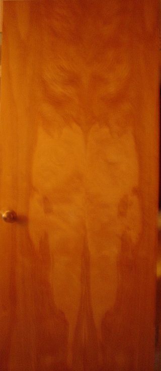 Demon door 2 edited1.jpg