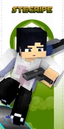 Minecraft Stegripe poster