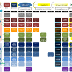 Category Theories And Concepts Steins Gate Wiki Fandom
