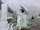 Past Mayuri at grave.PNG